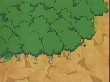 [S^M] Naruto 220 RAW(235).jpg